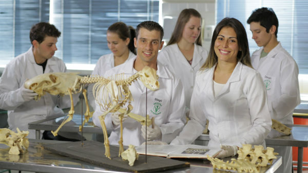 FTC Conquista abre nova seleção para o curso de Medicina Veterinária