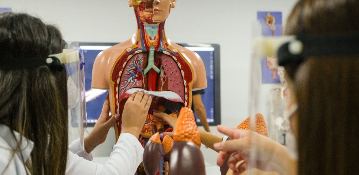 Inscrições abertas para vestibular de Medicina na Bahia