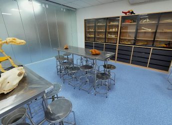 Laboratório de Veterinária