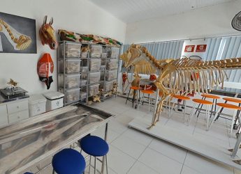 Laboratório de Anatomia Animal