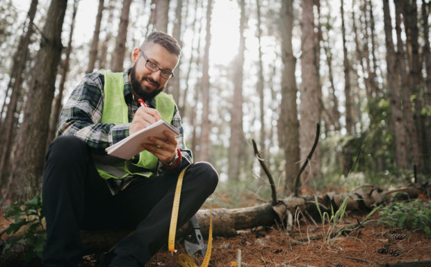 Forest ranger on a walk