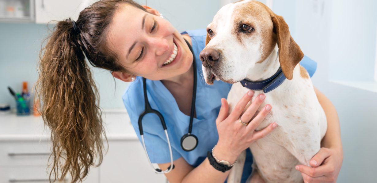 Clínica-Escola de Medicina Veterinária da UniFTC oferece serviços a preços acessíveis em Salvador